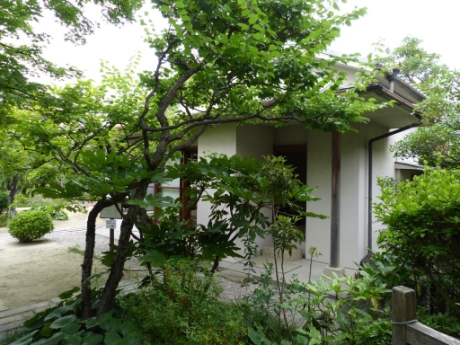画像6